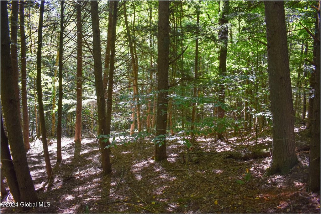 Picture 15