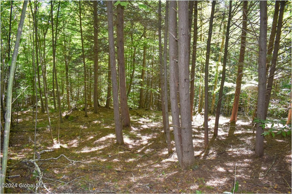 Picture 14