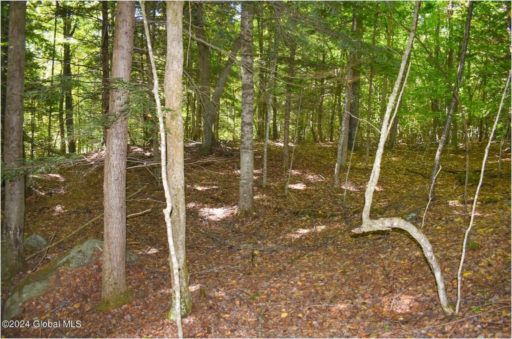 Picture 9