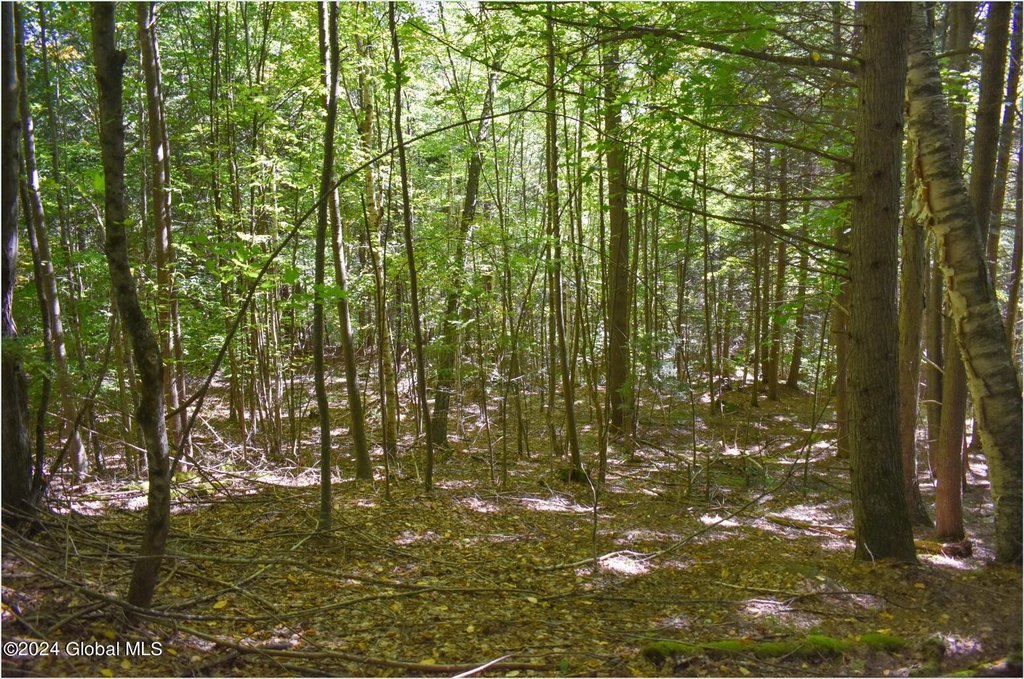 Picture 12