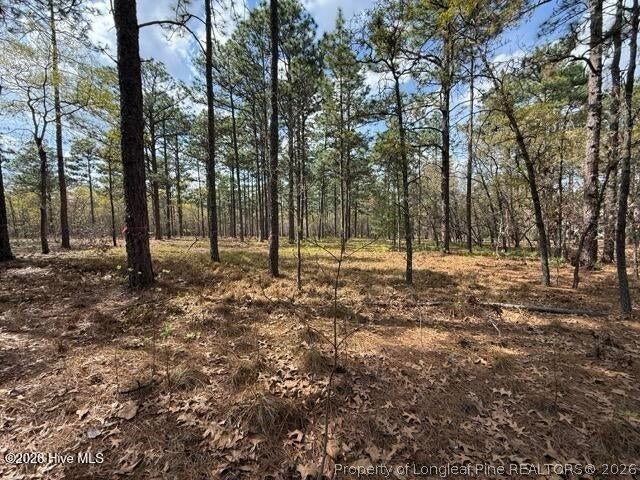 Picture 12