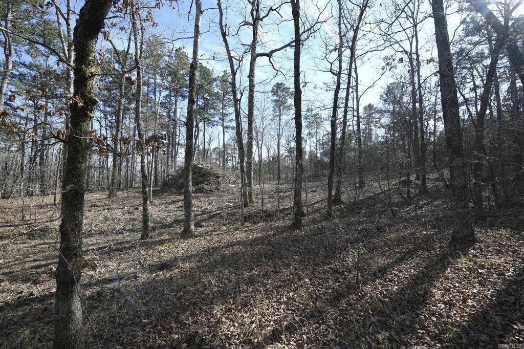 Picture 24