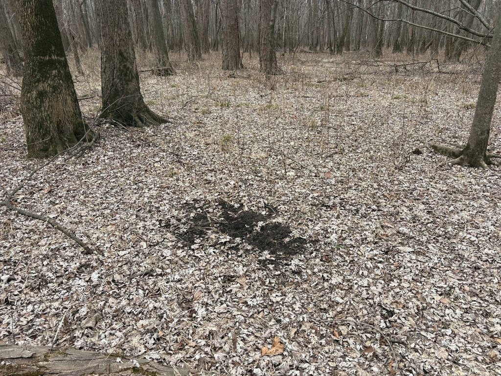 Picture 14