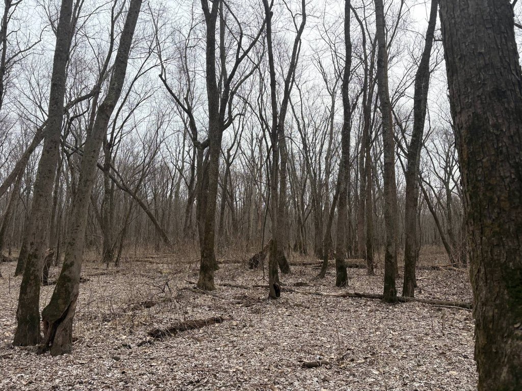 Picture 15