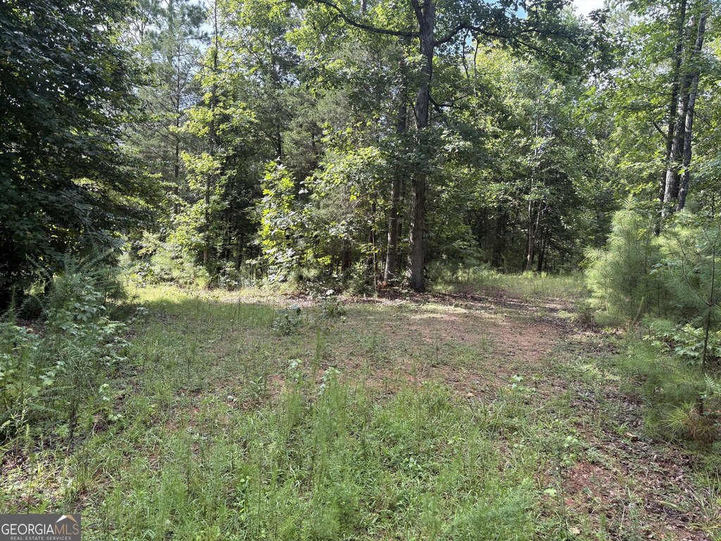 Picture 14