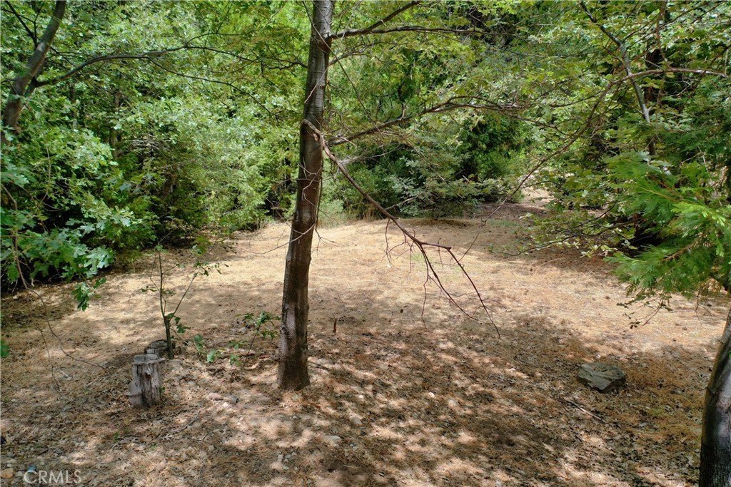 Picture 3