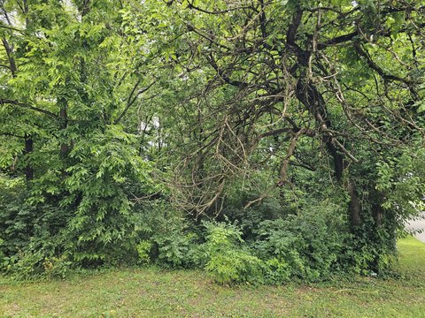 Lawrenceburg Land For Sale