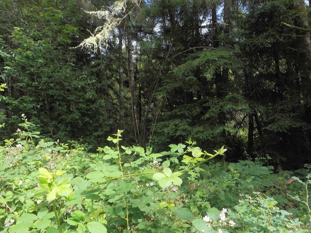 Picture 5