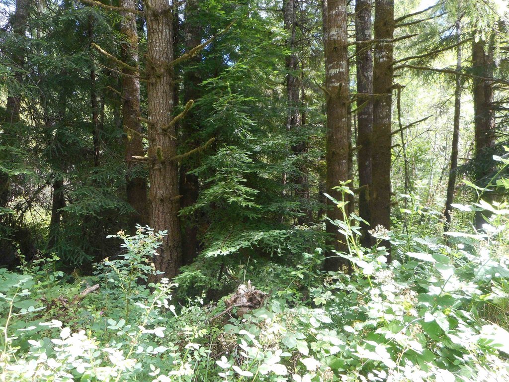 Picture 6