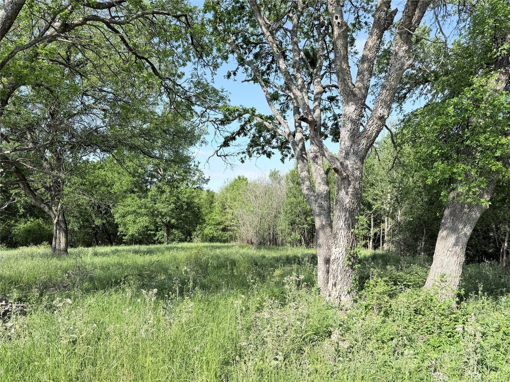 Picture 4