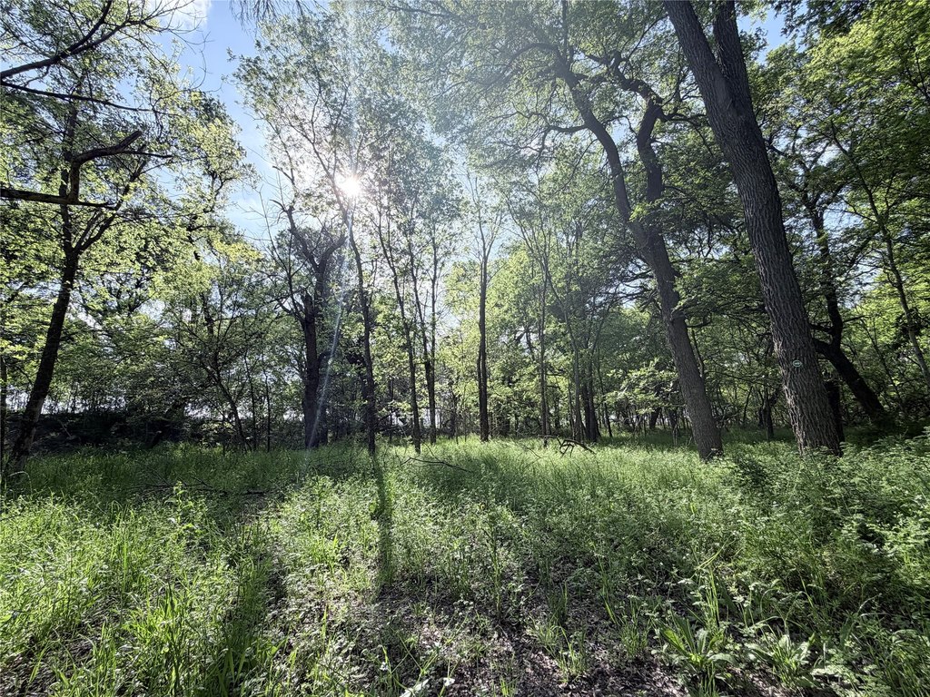 Picture 14
