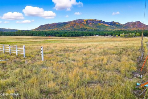 Flat Meadow Storage Yard Land
