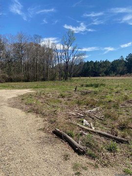 Land, Greenwell Springs, LA