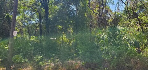 Land, NEW PORT RICHEY, FL