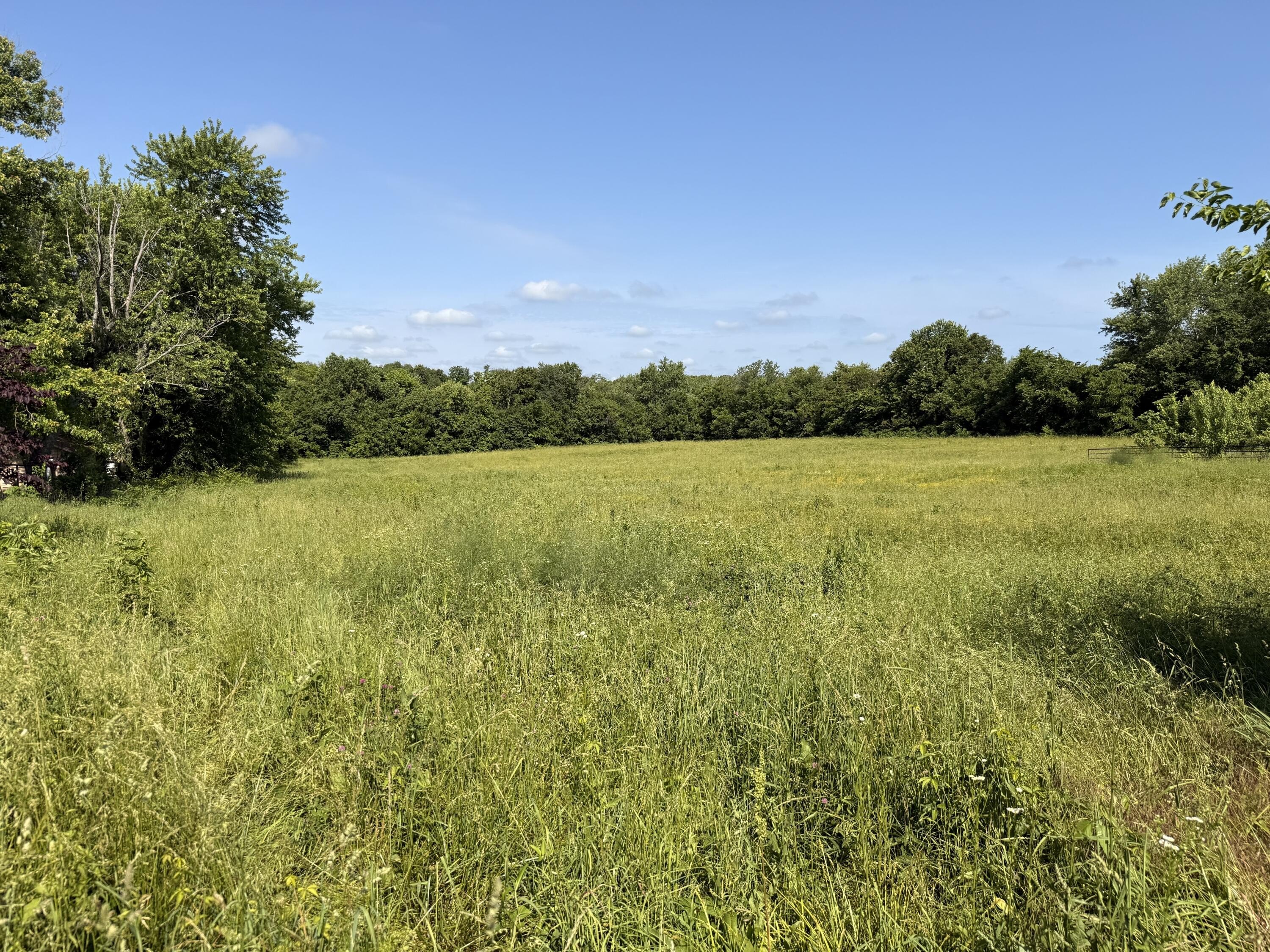 Mountain Grove Land For Sale