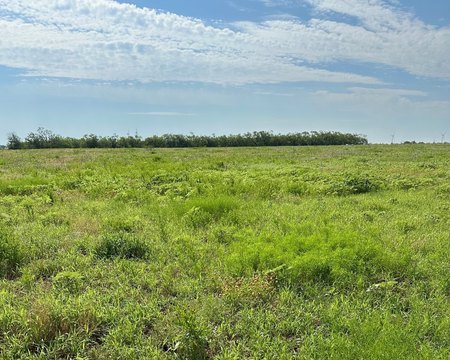 LAND - Other - Abilene, TX