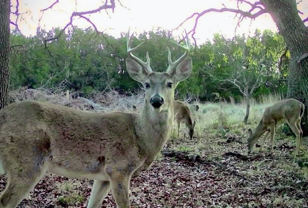 Picture 31