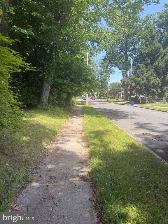 Picture 5