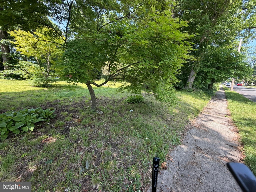 Picture 17