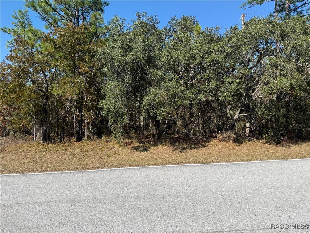 Sugarmill Woods Premium Building Lot