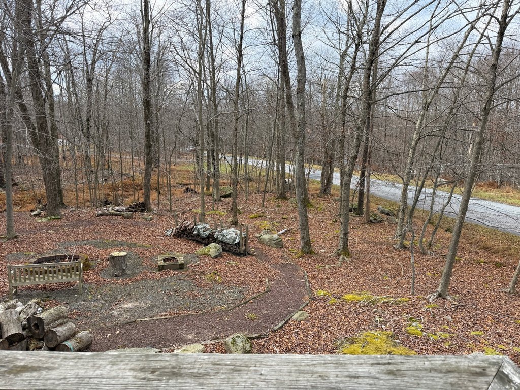 Picture 13