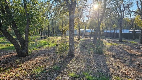 Clearlake Land/Lot Opportunity