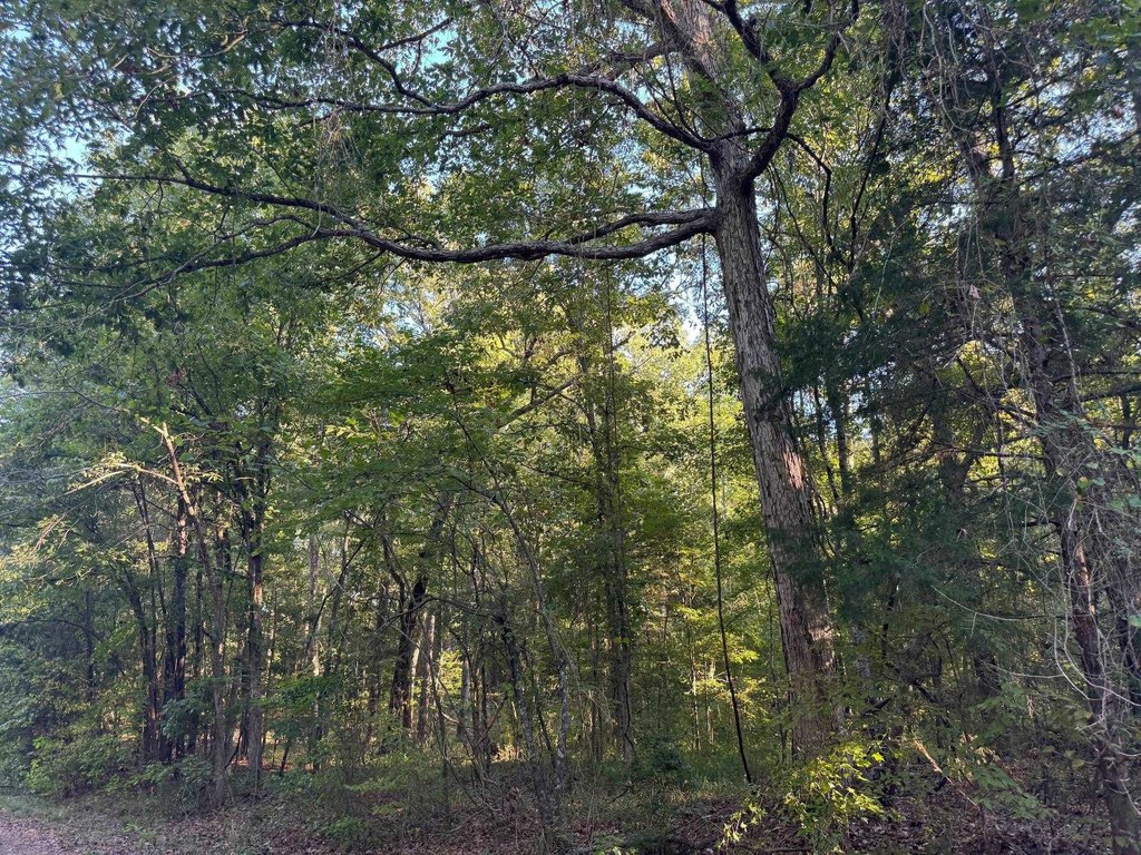 Picture 21