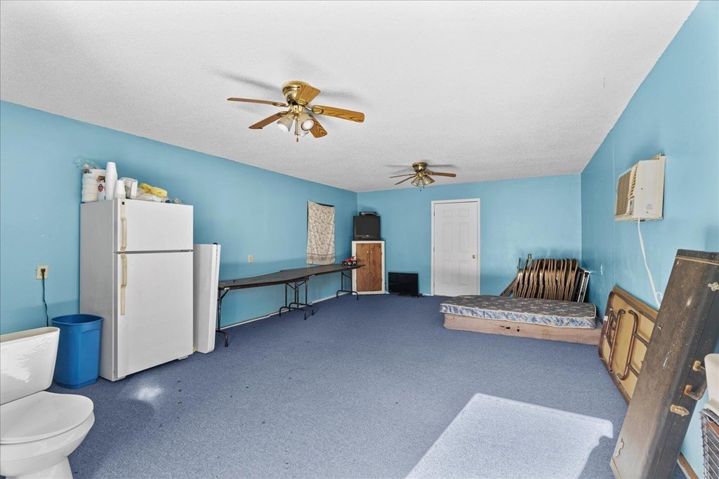 Picture 24