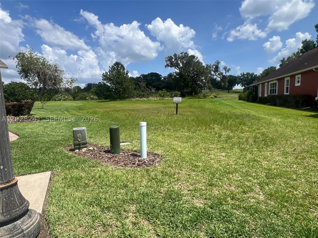 Picture 24