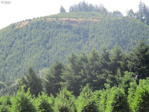 Scio, Oregon Timberland Opportunity