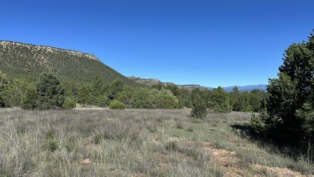 Picture 31