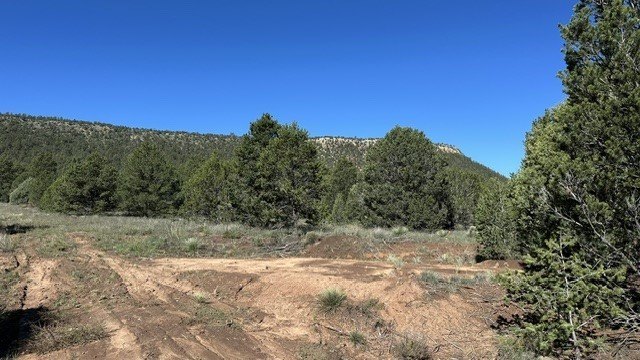 Picture 30