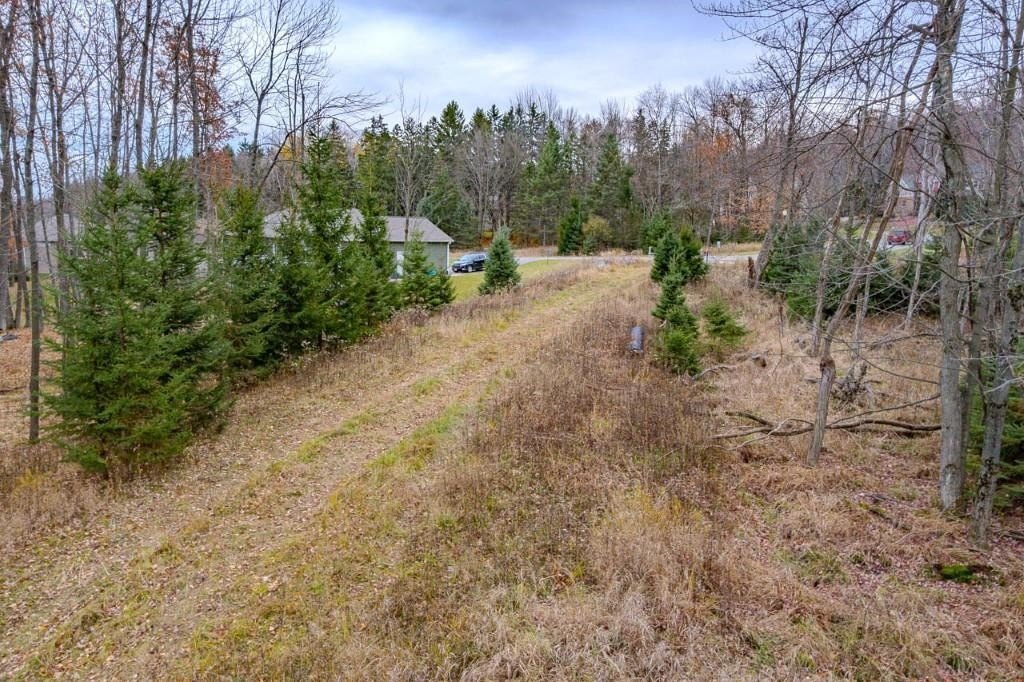 Picture 16