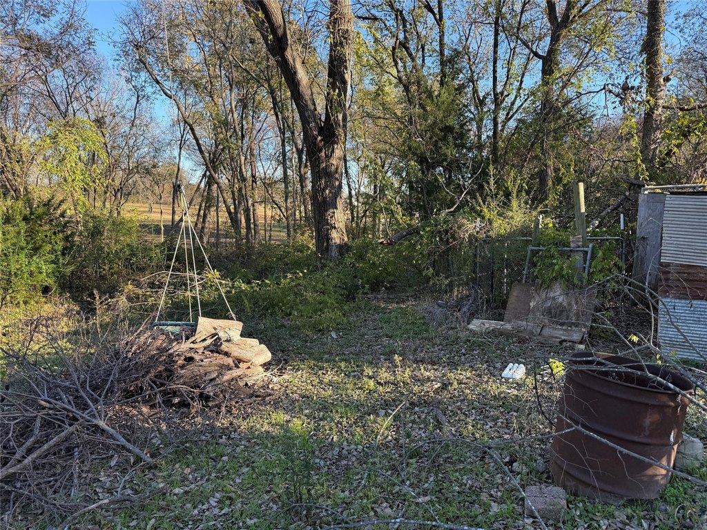 Picture 4