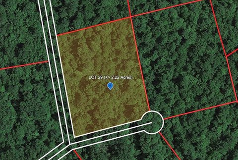 Wooded Land in Bragg, WV