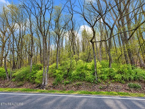 Lots & Acreage, Sweetwater, TN