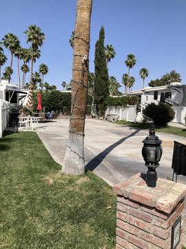 Residential Land in Cathedral City