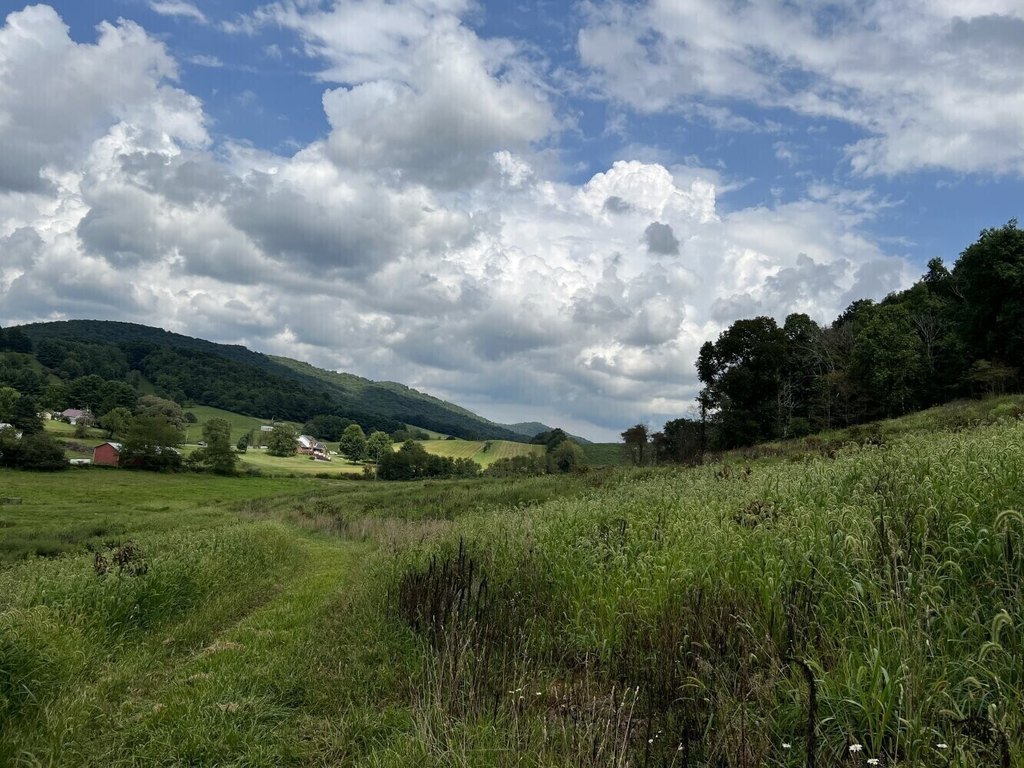 Picture 4