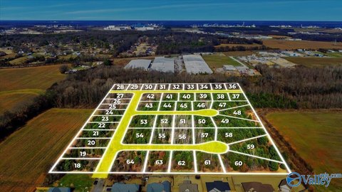 Residential Land in Trinity, AL
