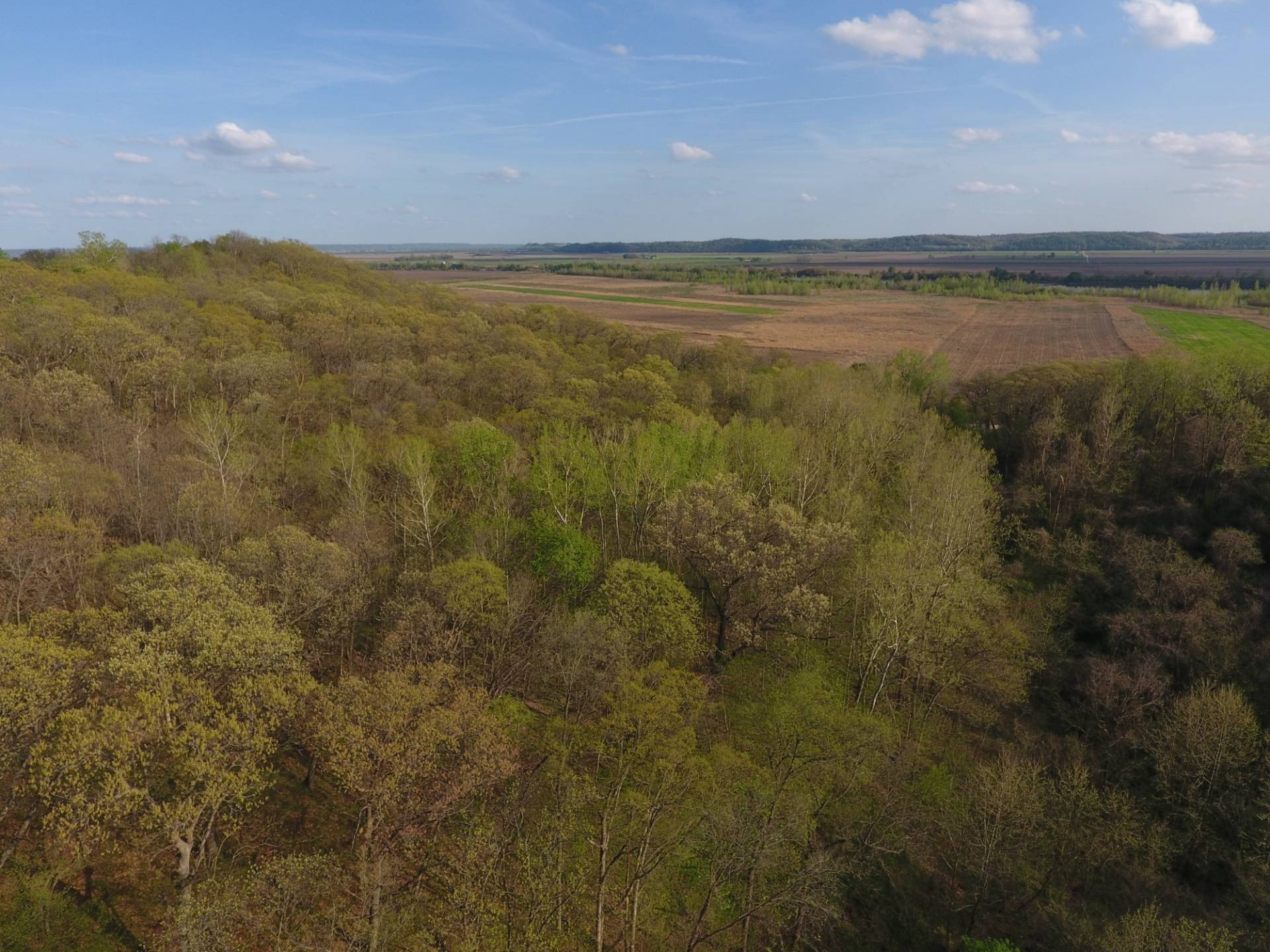 Land with Utilities Ready