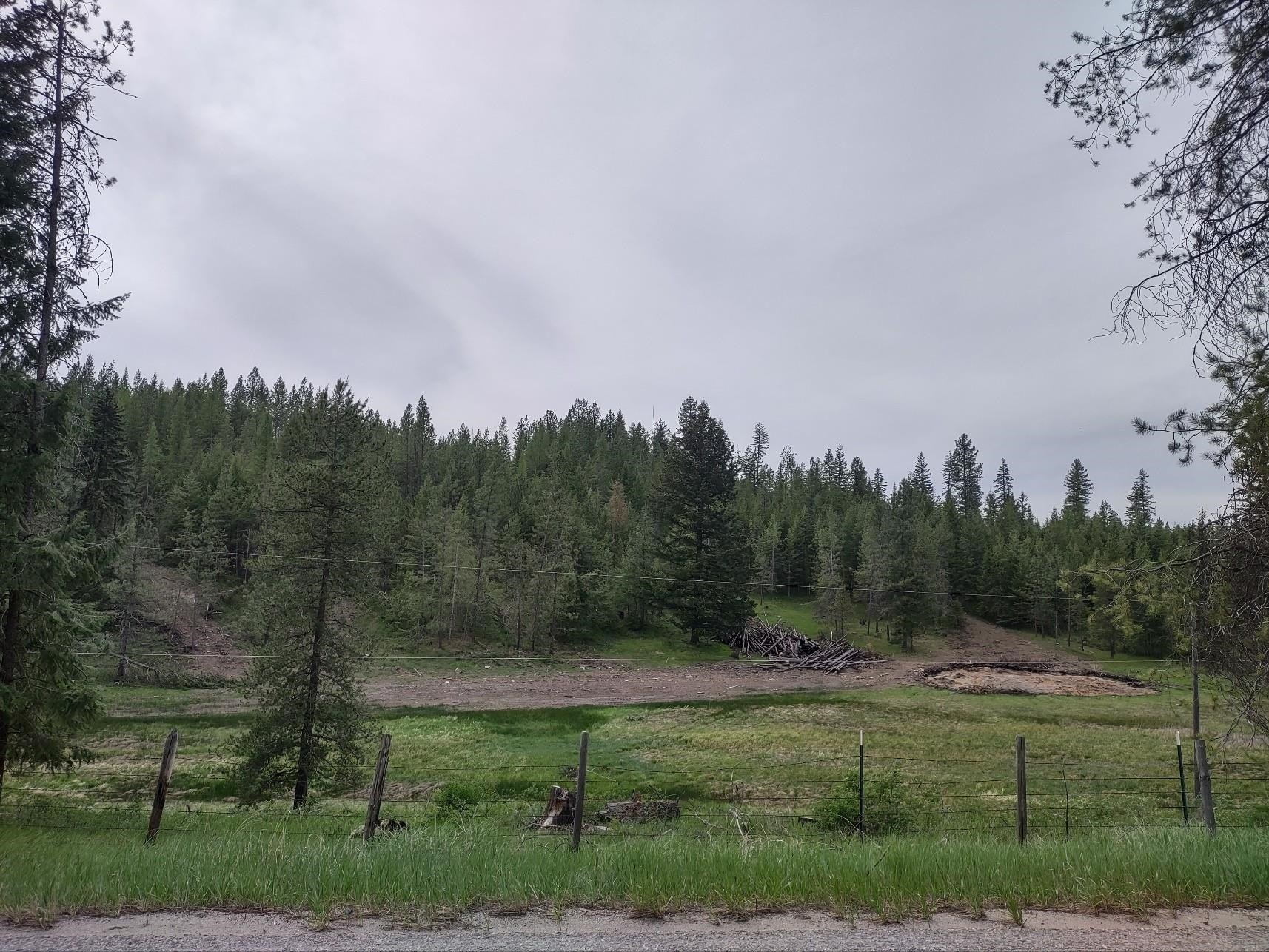 Valley, WA Timbered Land