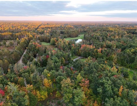 Land, Lewiston, MI