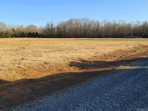 Conway, AR Level Building Lot