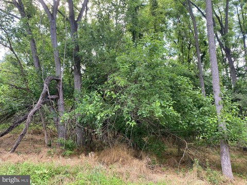 Harpers Ferry Unrestricted Land