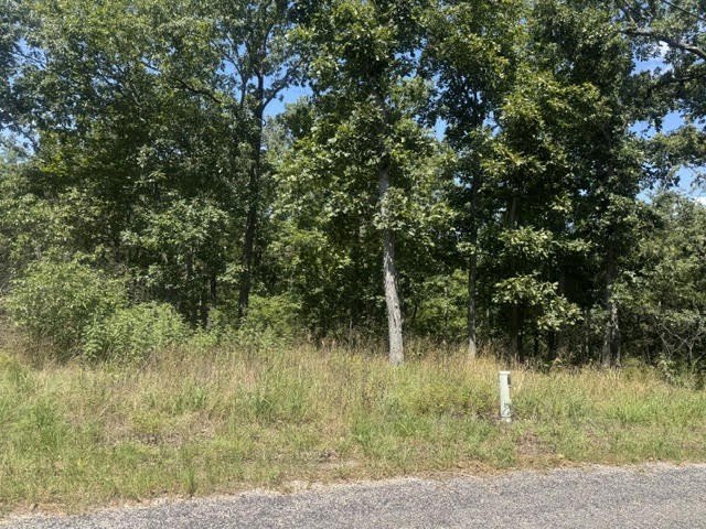 Picture 5