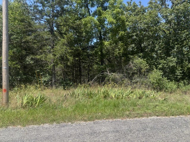 Picture 3