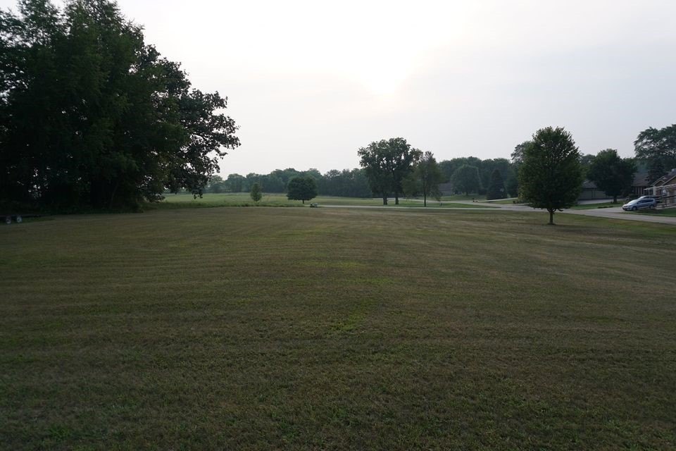 Picture 5