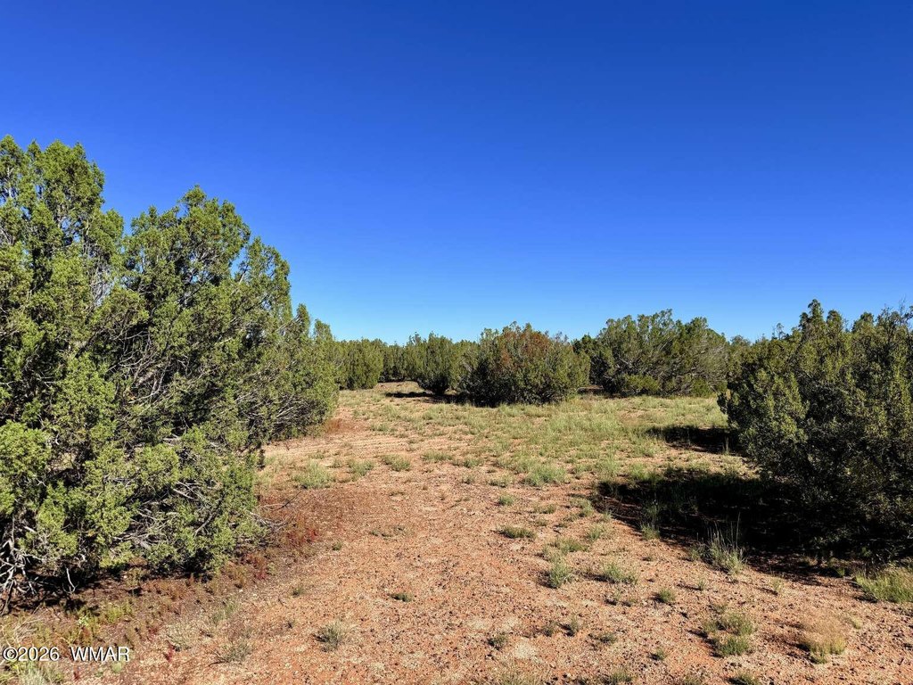 Picture 27
