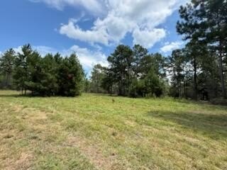 DeFuniak Springs 2.95-Acre Lot