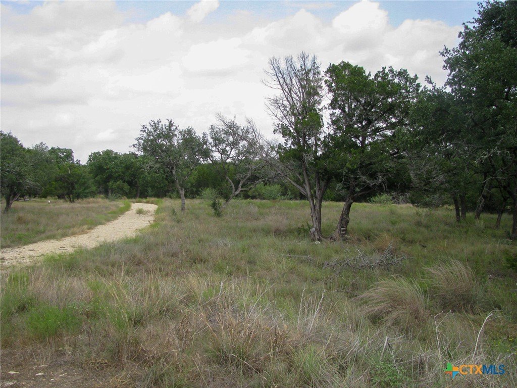 Picture 23